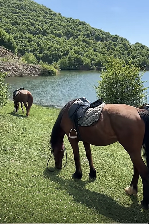 Kalerim & atraksione Vali Ranch Resort gjilan7
